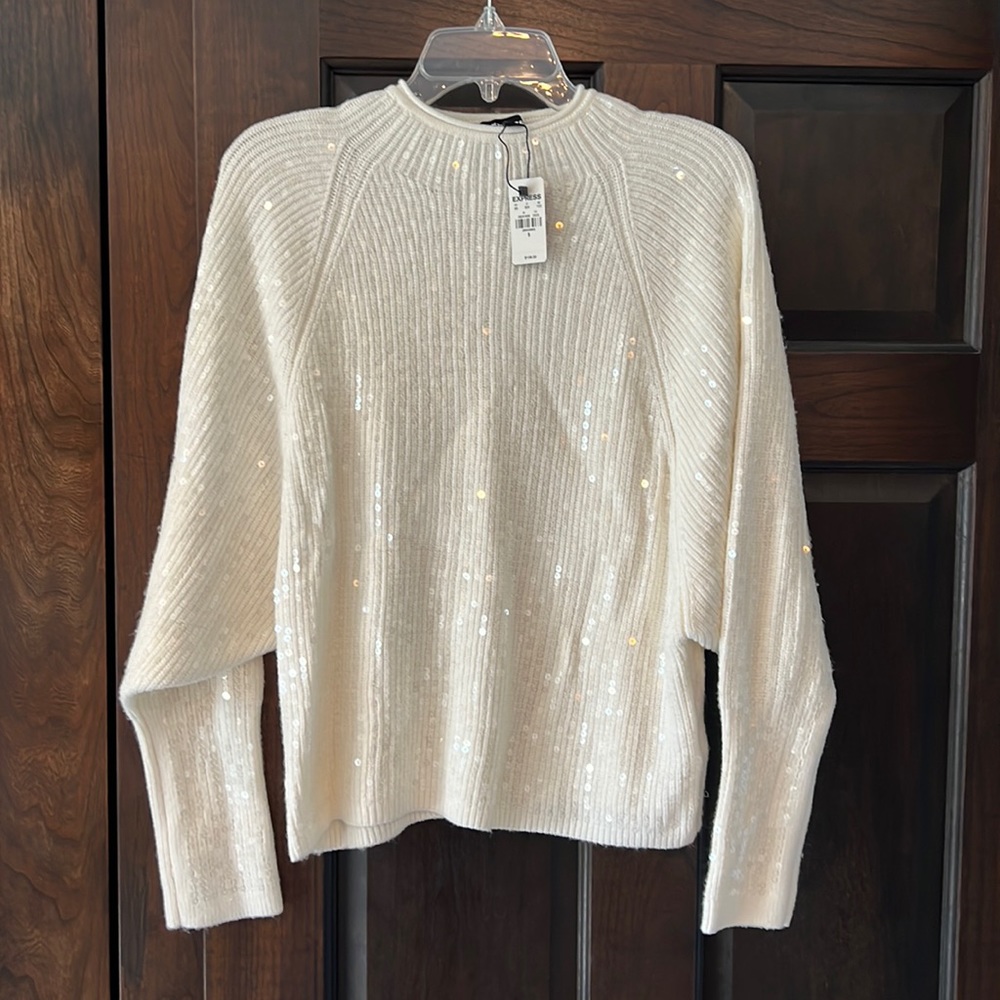 Express Sequin Sweater